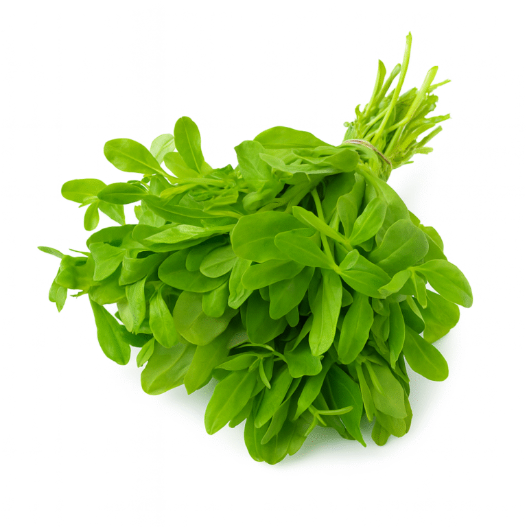 Fresh Waterleaf – Crisp, Clean, Farm-Grown Leafy Greens (Premium Quality)