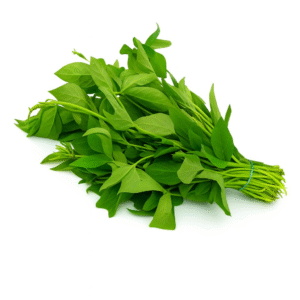 Fresh Bitter Leaf for Cooking – Clean, Natural, Farm-Grown Vegetables